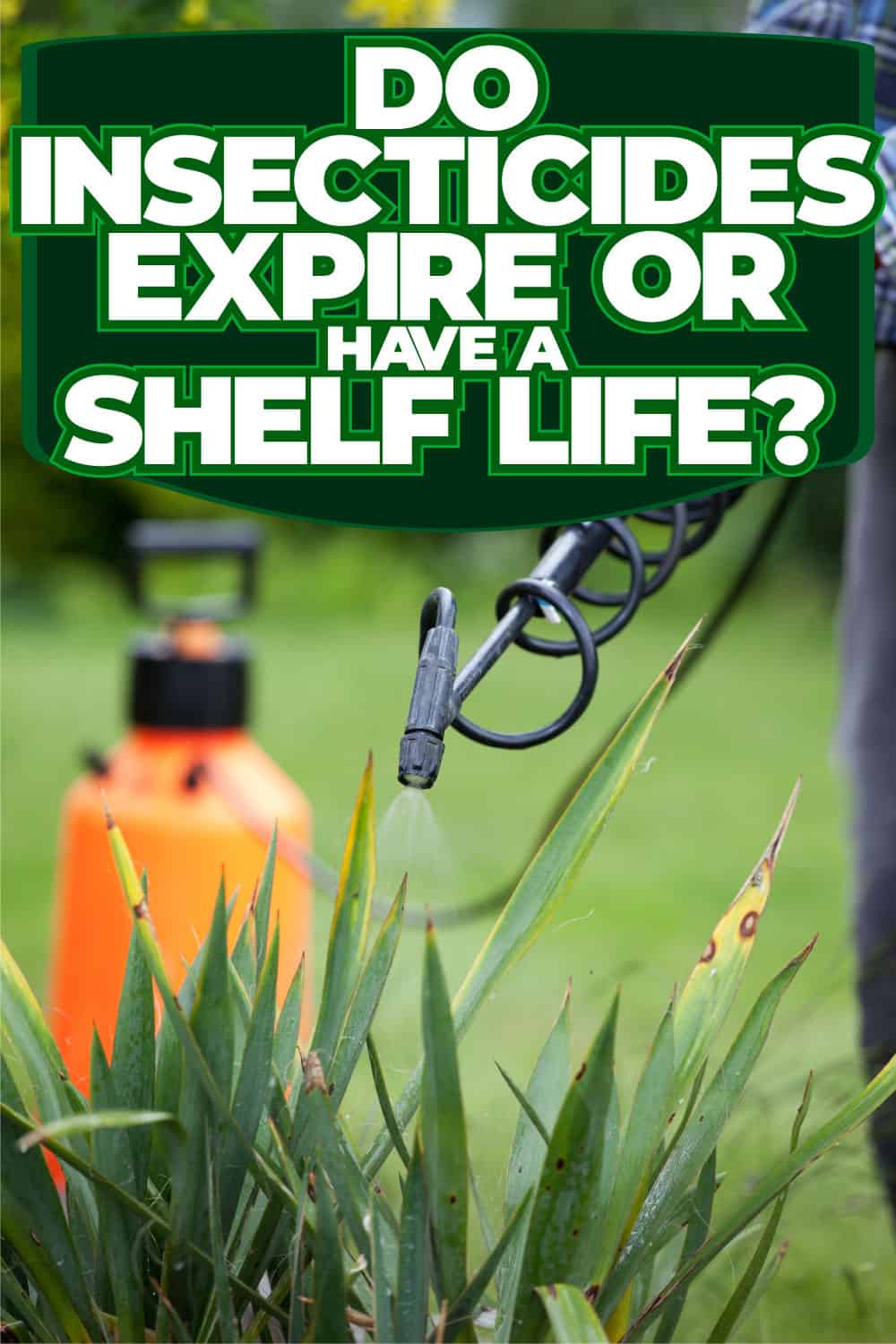 Do Insecticides Expire Or Have A Shelf Life