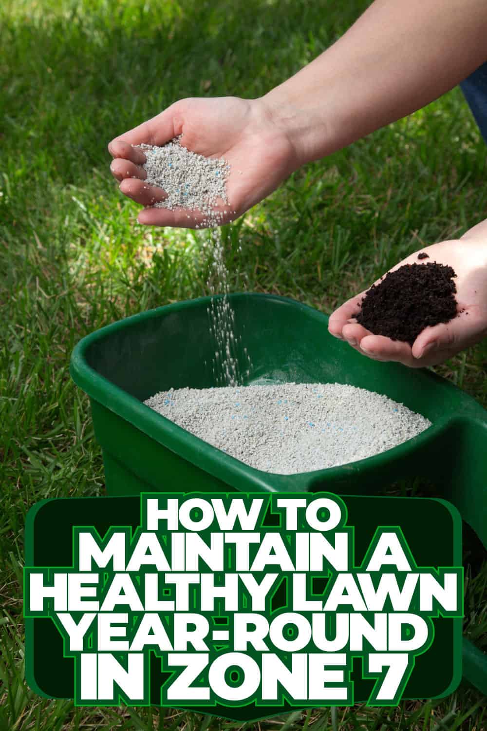 How to Maintain a Healthy Lawn Year-Round in Zone 7