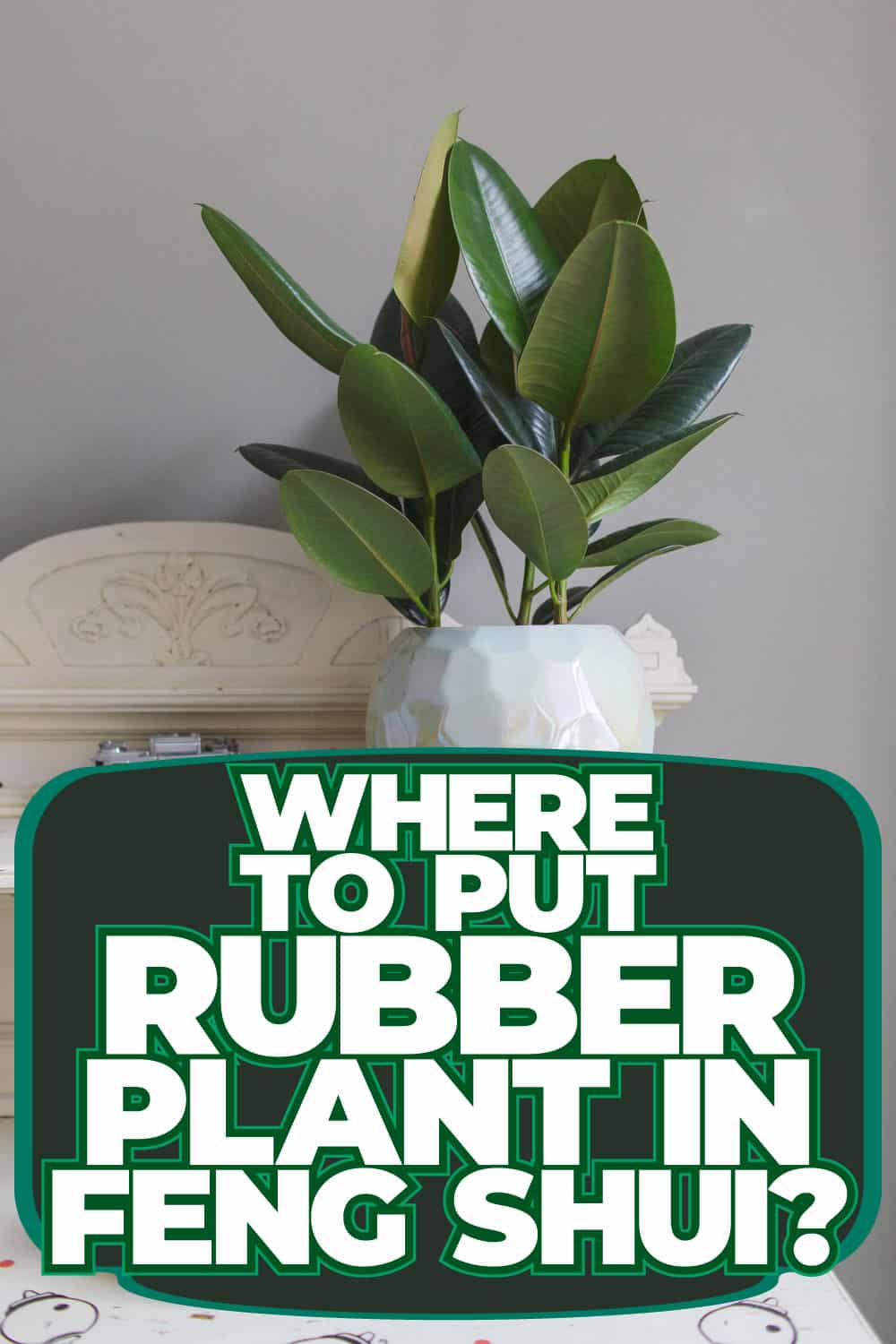 Where To Put Rubber Plant In Feng Shui?