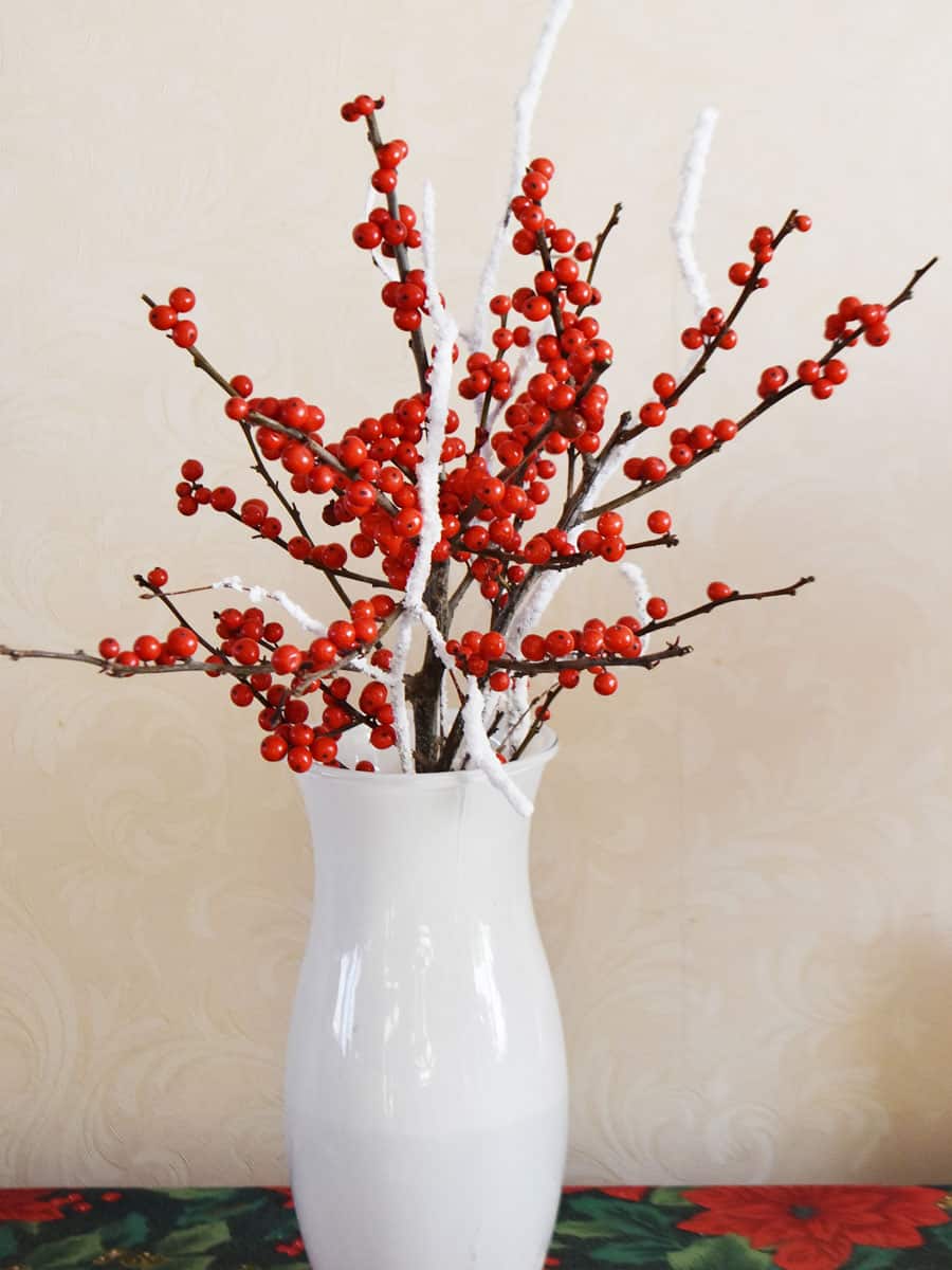 Bright red berries of a Winterberry plant