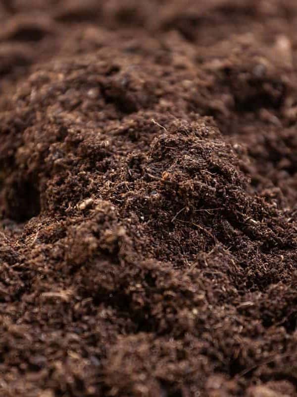 photo of a dark brown soil, garden soil for gardening and planting, earth soil, rock, dirt