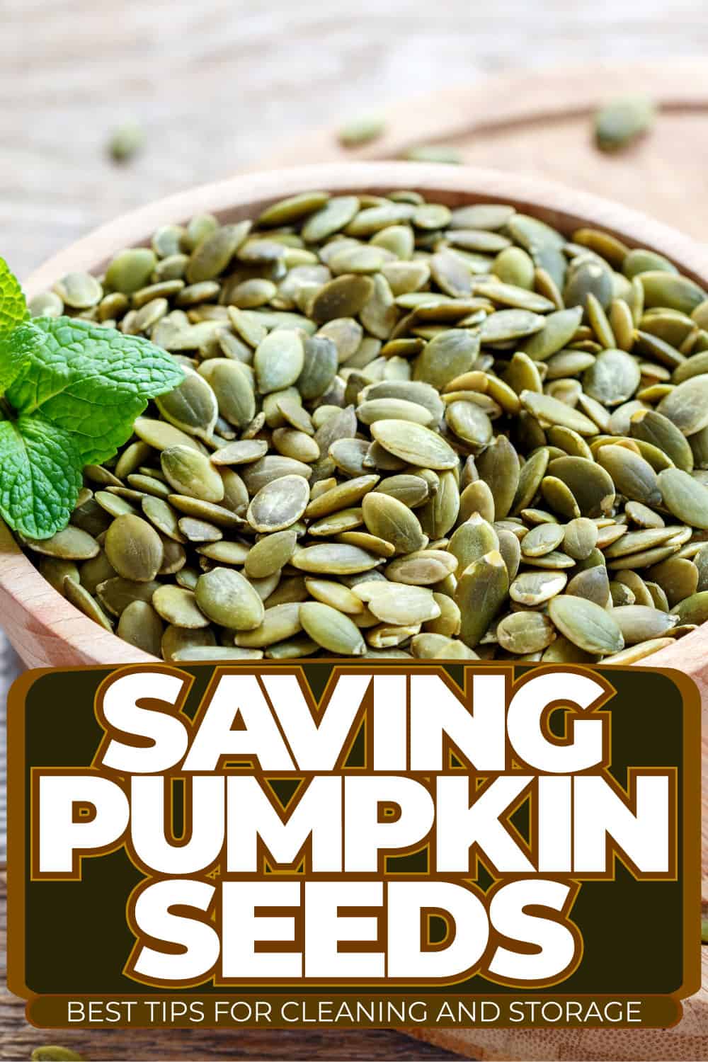 Saving Pumpkin Seeds Best Tips For Cleaning And Storage
