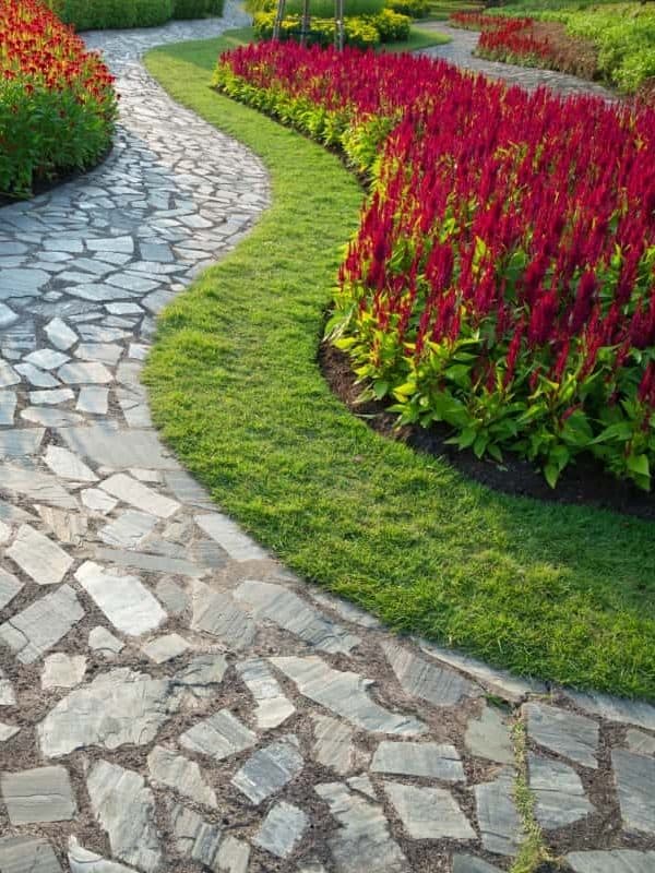 pathway in the park, The 13 Best Plants for Edging Along a Sidewalk—A Comprehensive Guide to Beautifying Your Walkway