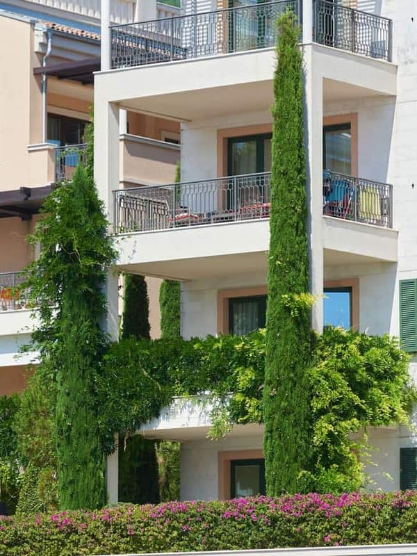Italian Cypress planted outside a condominium building