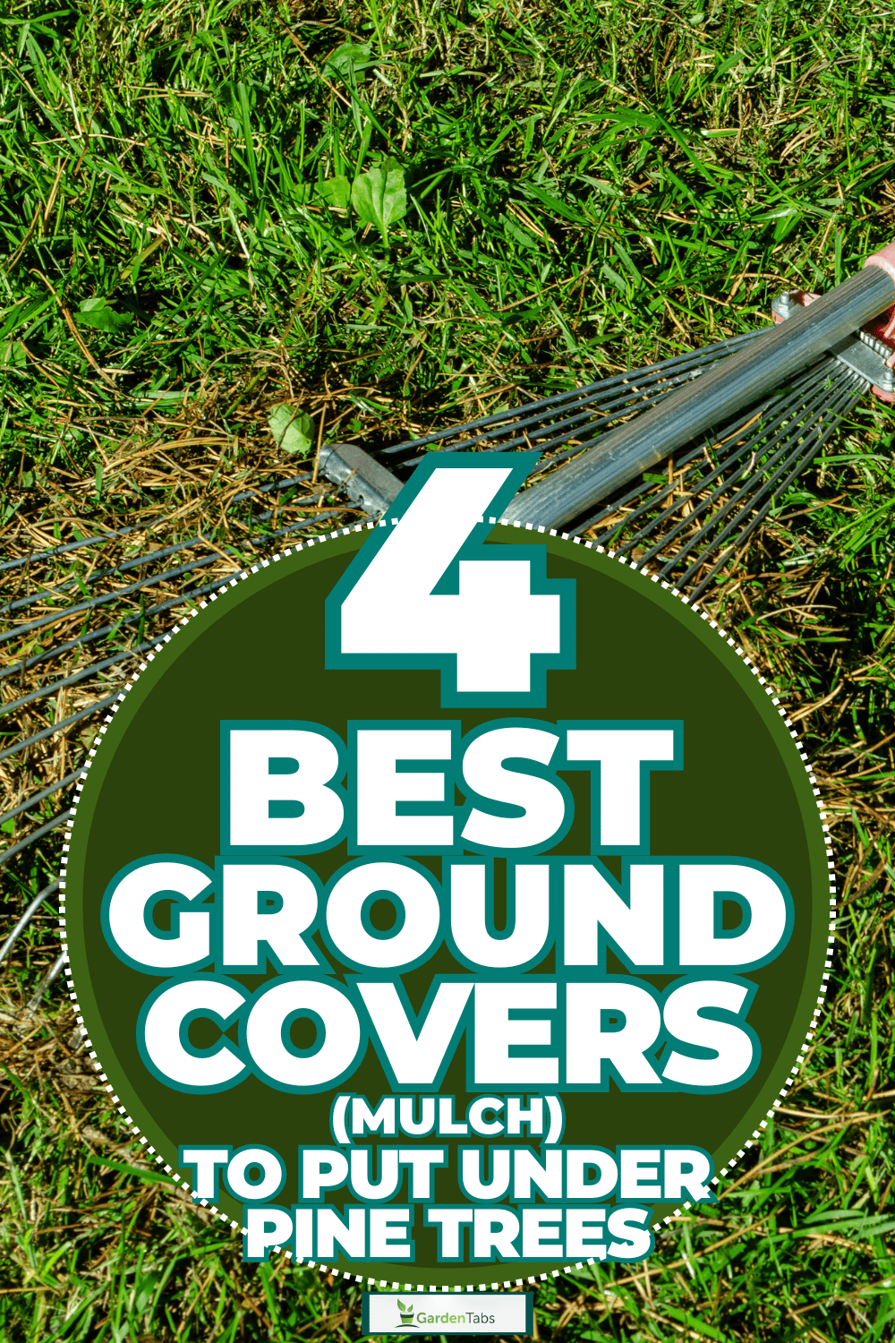 4 Best Ground Covers (Mulch) To Put Under Pine Trees