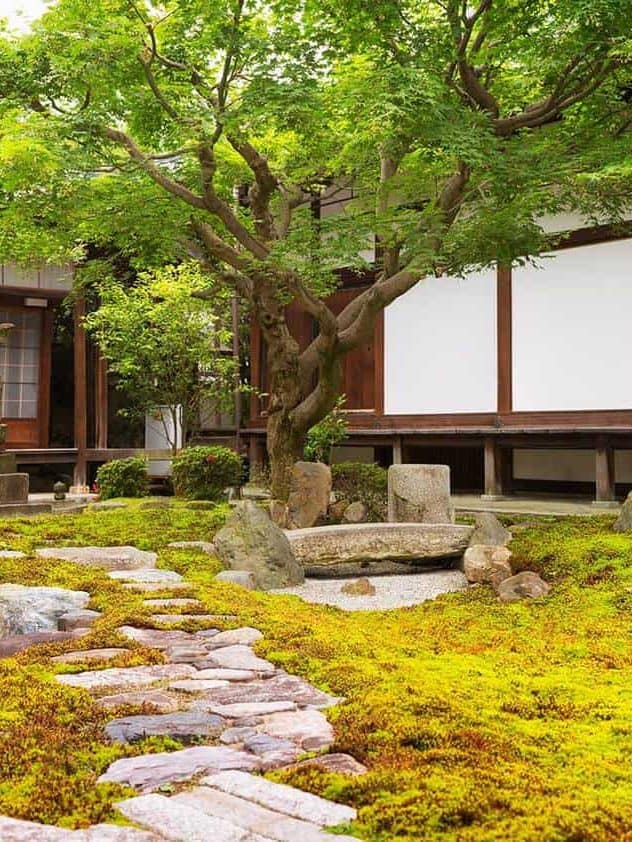 Formal rock and moss garden at japanese buddhist temple with a large japanese maple growing at the end of a footpath