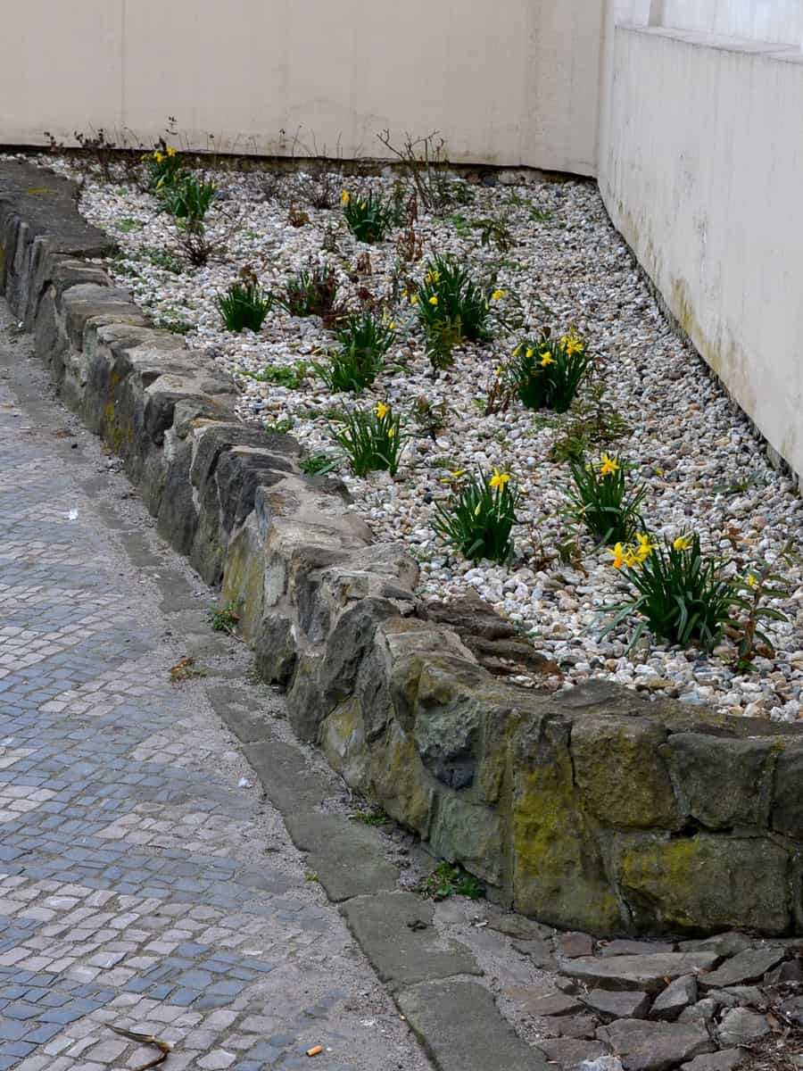 Small garden in the with stone curb
