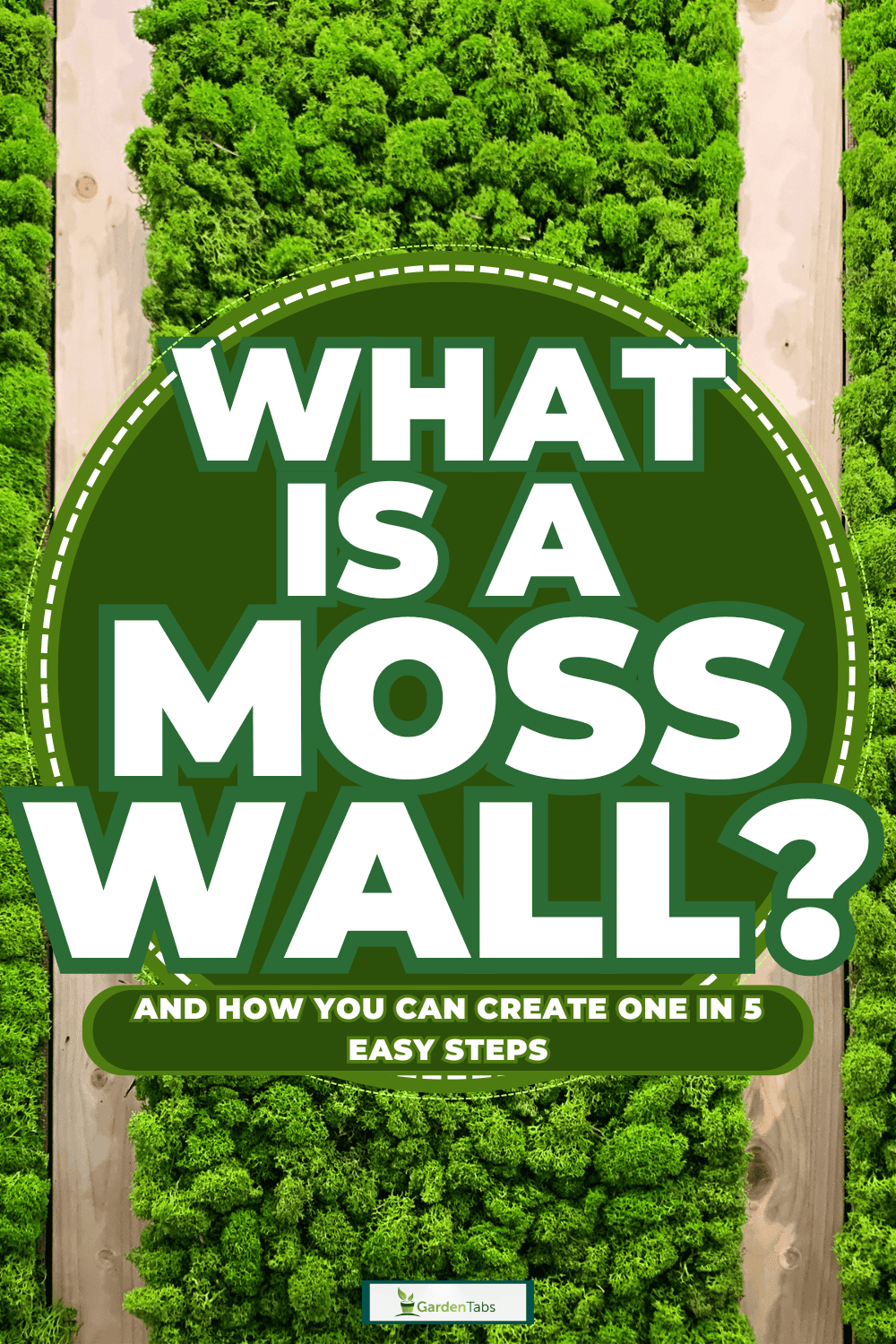What Is A Moss Wall [And How You Can Create One In 5 Easy Steps]