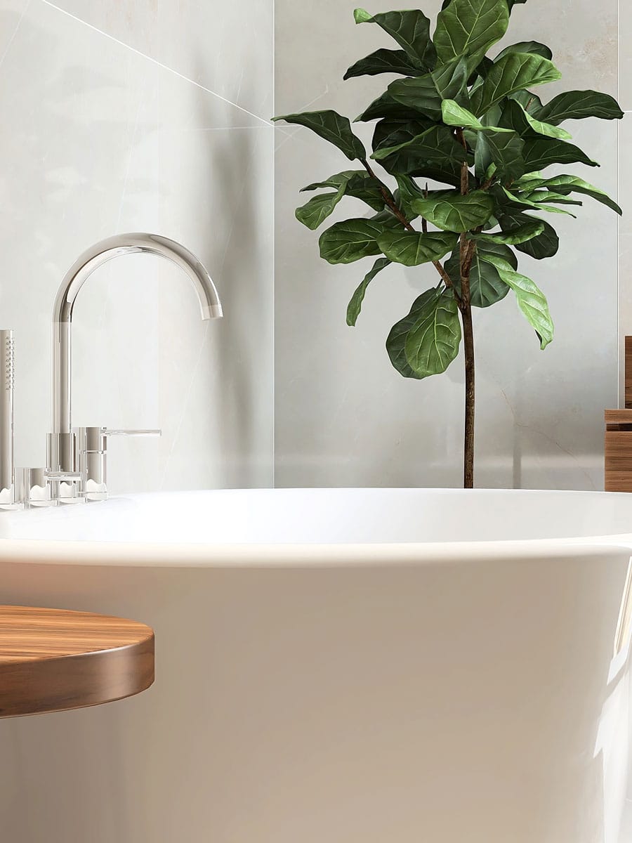A fiddle leaf tree in the bathroom